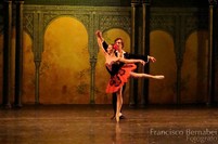 Ballet Estable del teatro Colon