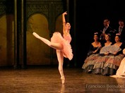 Ballet Estable del teatro Colon