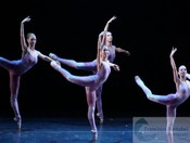 Ballet Estable del teatro Colon